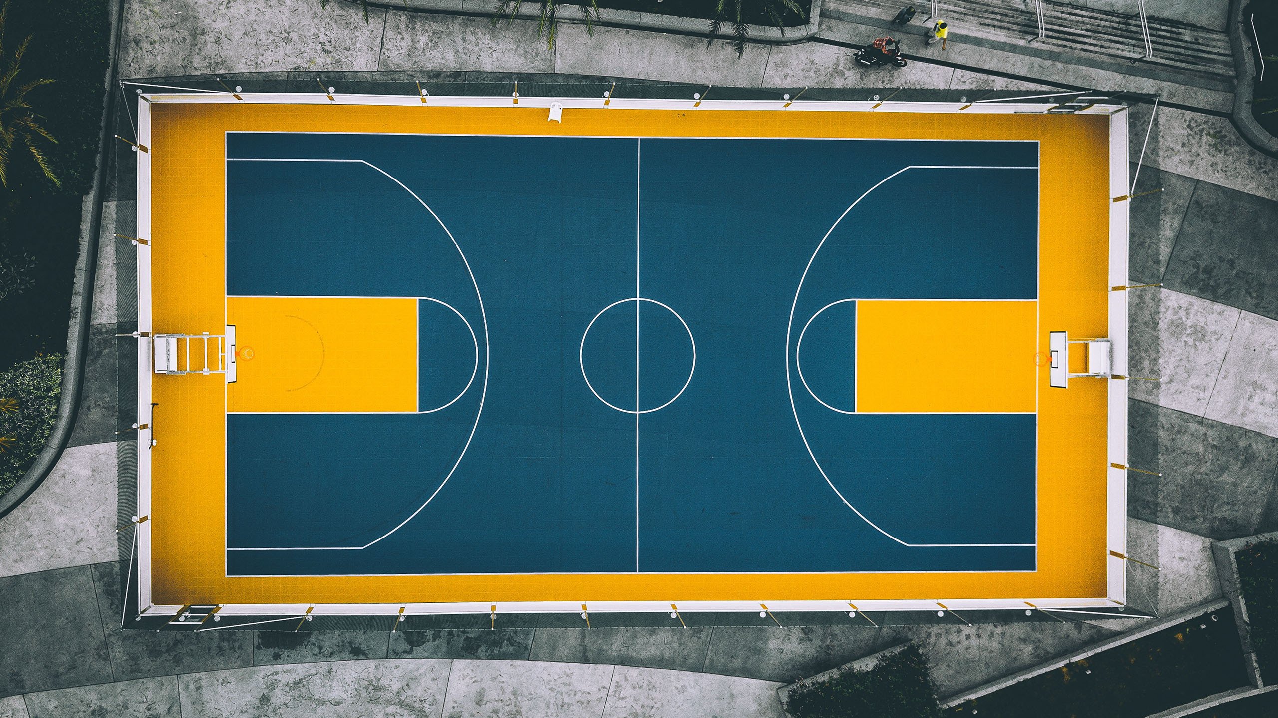 范弗利特关键时刻站出，深圳队争冠路上屠龙制胜